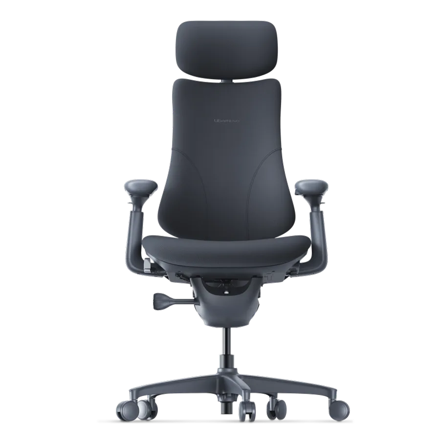 Эргономичное кресло LiberNovo Omni в цвете Midnight Black, вид спереди